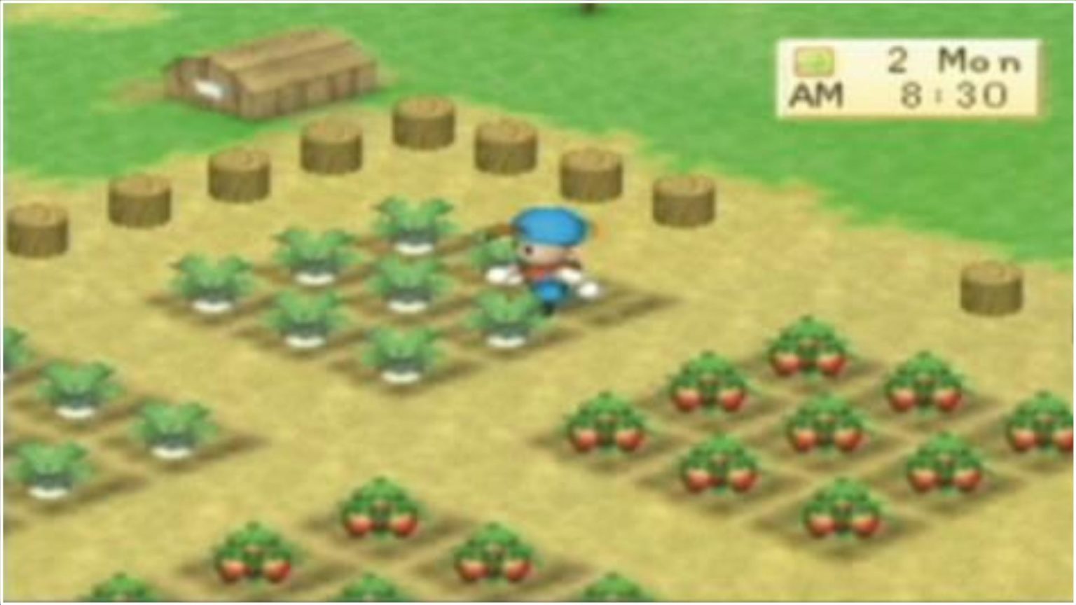 Harvest Moon Boy & Girl PSP ISO Highly Compressed SafeROMs