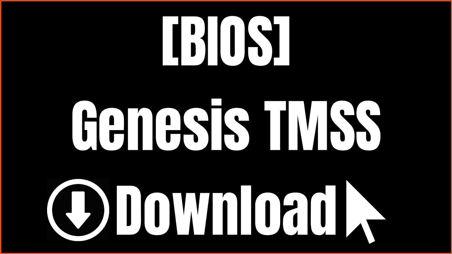 Genesis TMSS BIOS